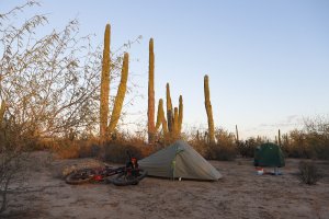 Guerrero Negro to San Ignacio