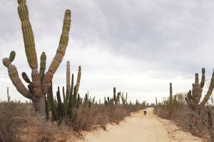 La Barrancas – Ciudad Insurgentes – Santa Rita – La Aguja (-6km)