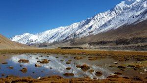 Karu – Lake Pangong (Spangmik village) – Hunder