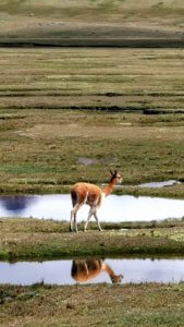 Into the Peruvian Southern Highlands