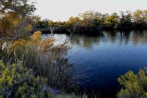 William Creek to Dalhousie Springs <strong>and the Painted Desert</strong>